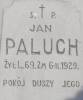 Jan Paluch, d. 6 II 1929